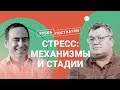 Стресс: механизмы, стадии и последствия / Дмитрий Жуков в Рубке ПостНауки