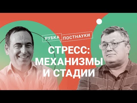 Стресс: механизмы, стадии и последствия / Дмитрий Жуков в Рубке ПостНауки