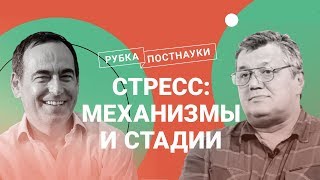 Стресс: механизмы, стадии и последствия / Дмитрий Жуков в Рубке ПостНауки