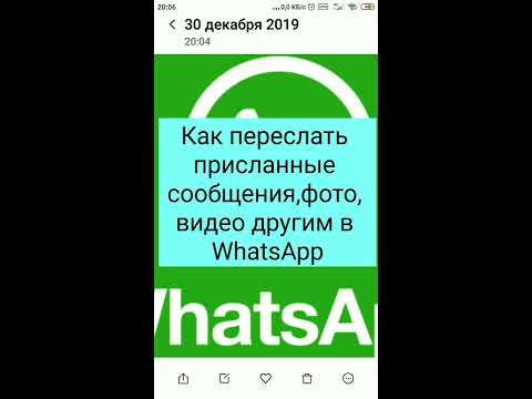 Как переслать присланные сообщения,фото, видео другим в WhatsApp(Ватсапп)