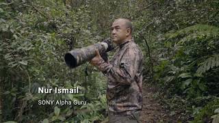 Alpha Birding Tips - Bird Portraiture (SONY Malaysia)