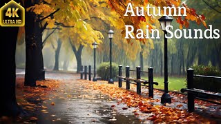 Relaxing Autumn Rain Sounds With Beautiful Piano Music - 4K Enchanting Autumn Nature Scenes by Enjoy Nature 76 views 6 months ago 24 hours