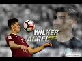 Wilker angel  the tank  defensive skills  201617