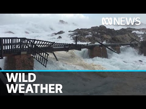 Storm hits Perth as ex-Tropical Cyclone Mangga delivers wild weather across WA | ABC News