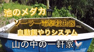 メダカのソーラー電撃殺虫自動 餌やりシステム