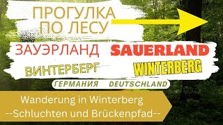 ГЕРМАНИЯ ЗАУЭРЛАНД ВИНТЕРБЕРГ Прогулка по ЛЕСУ Wanderung in Winterberg Schluchten und Brückenpfad 4K