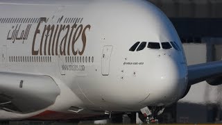 20 Close Up Takeoffs &amp; Landings: Emirates A380, Qatar 777, Singapore A350, Turkish A330
