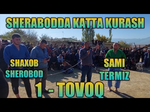 Video: Lobelia Oturaq çiçəklənməsi