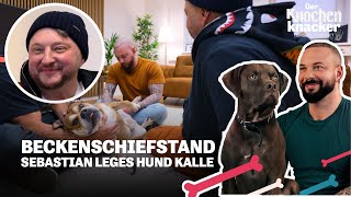 KNACK! Kalle bekommt das Becken eingerenkt 😱​ | Der Knochenknacker – Tierisch verrenkt🦴​