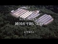 こだわりの純国産平飼い鶏卵