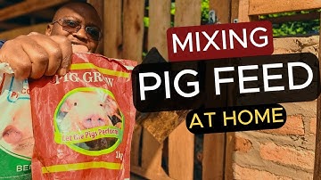 How To MIX PIG feed at Home. | pigs eat food  | Pig Farming for Beginners | Pig feed Formula |