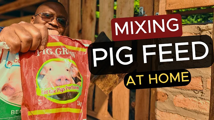 How To MIX PIG feed at Home. | pigs eat food  | Pig Farming for Beginners | Pig feed Formula |