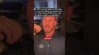 #ripple #xrp #xrphariini #btc #duet #crypto #datingadvice #cryptonews #nfl #cryptocurrency