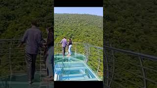 Glass Bridge Nature Safari Rajgir