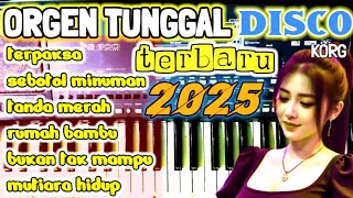 Orgen tunggal disco terbaru 2025 musik viral cocok untuk Anda semua