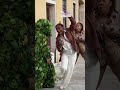 bushmanprank bushman funnypranks funnyvideo funnyvideosBushman Pranks