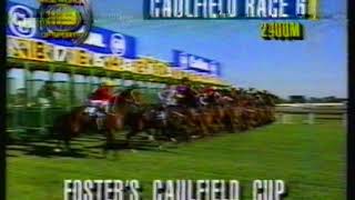1994 Caulfield Cup screenshot 1