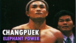 Changpuek Kiatsongrit - Elephant Power (ช้างเผือก เกียรติทรงฤทธิ์) | Muay Thai/Kickboxing Highlights