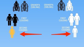 Family tree breakdown helps decipher who your cousins are