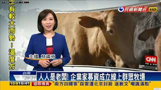 20191008 民視新聞台 1600整點新聞 主播林靖芬播報片段
