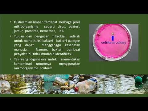 Video: Kolam biologis: definisi, klasifikasi, jenis, proses, dan pengolahan air biologis