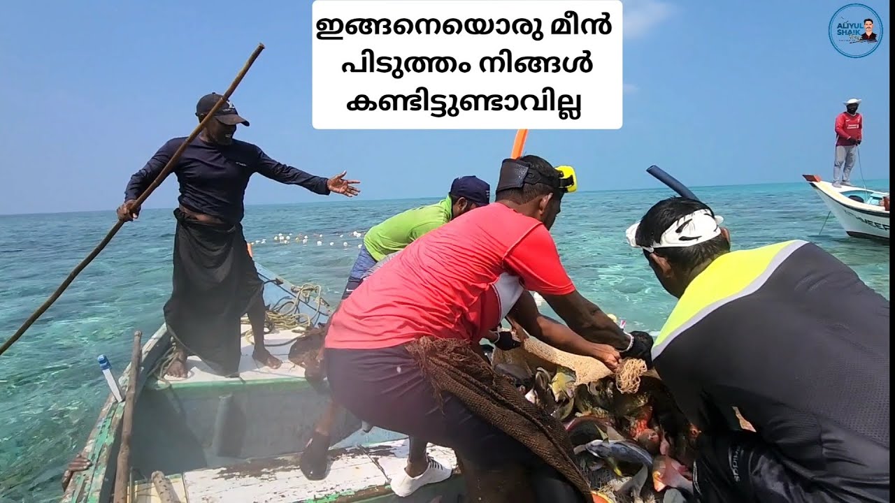 ലക്ഷദ്വീപിലെ ഇങ്ങനെയൊരു മീൻ പിടുത്തം നിങ്ങൾ കണ്ടിട്ടുണ്ടാവില്ല 🐟🦈#lakshadweep #fishing #viralvideo