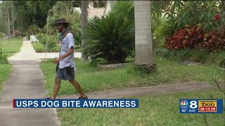 Tampa Bay mail carriers seeing dog attack uptick: how to keep yours safe
