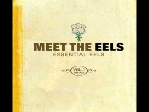 Eels - Saturday Morning - YouTube