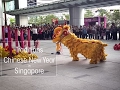 Chinese New Year - Singapore