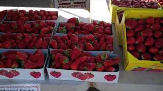 Day 74 of 365 Things to do in Stockton: Farmer's Market