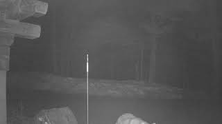 hik driveway 2 20180409 034045 034111