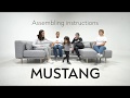 Mustang  instructional