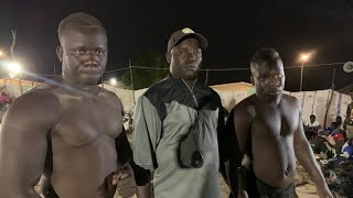 Final Lamb Falia 1 22026