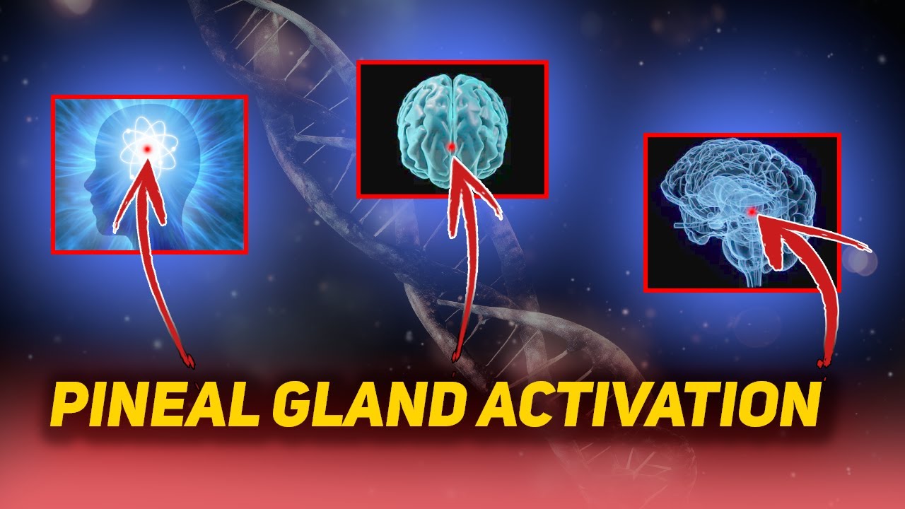 Pineal Gland Activation Frequency: Unlocking Your Inner Potential - YouTube