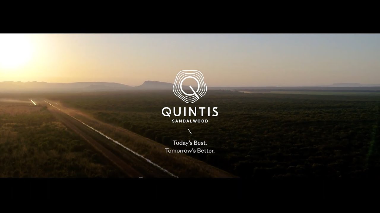 Welcome to the World of Quintis Sandalwood (French Subtitle)
