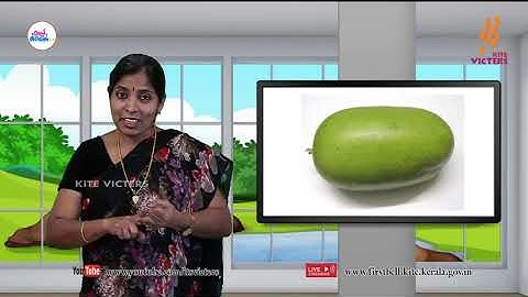 First Bell 2.0 STD 05 Basic Science Class 03