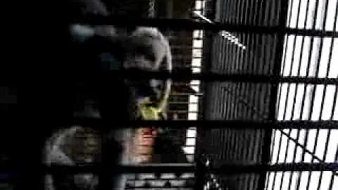 Wanna see my monkey?