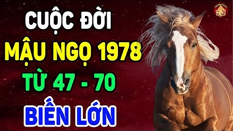 Tử Vi Trọn Đời Tuổi Mậu Ngọ 1978, Từ 47 - 70 Tuổi, Hưởng Lộc Trời Ban, Cực Giàu, Có Tiền Tỷ | TPTV