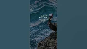 تلاوة من سورة لقمان الايه 18 بصوت الشيخ اسلام صبحى 🌹🥰