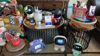 Jibo & Friends - Saturday Livestream (Cookie Thief 🍪)