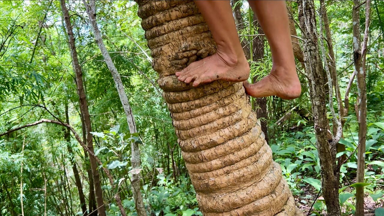 SOLE TO SOUL - BAREFOOT ADVENTURES IN THE AWE-INSPIRING MAE HONG SON,  Northern Thailand