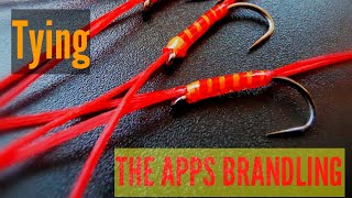 Fly Tying |  Apps Brandling | Stillwater Trout.