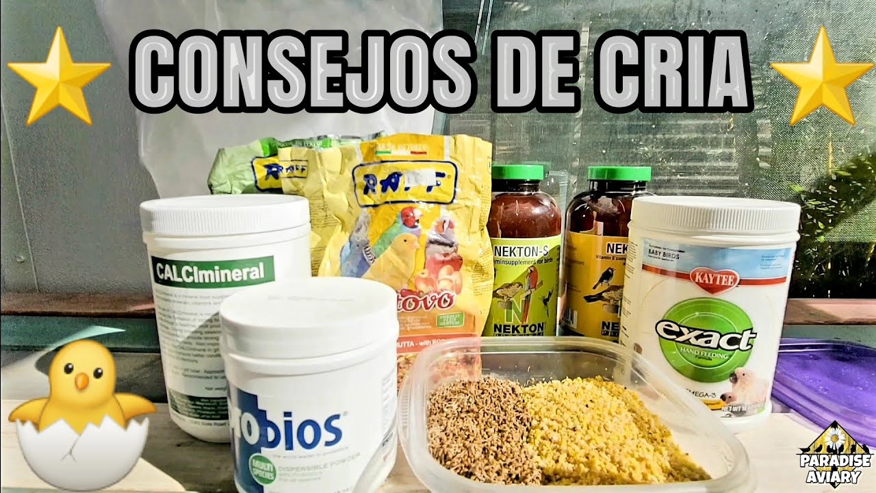 Suplementos y Vitaminas para las AVES durante la temporada de CRIA