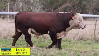 Lot 34 SKSU337 Karoonda 2025