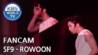 [FOCUSED] SF9's ROWOON - Now or Never [Music Bank / 2018.08.03]