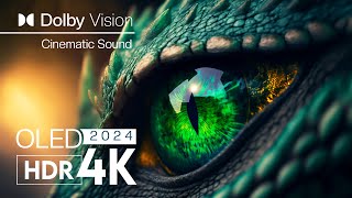 EXTREME CLARITY  Dolby Vision  4K UHD 60fps -  Animal Videos with Cinematic Sound