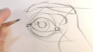 How To Draw  The Eye in Three Quarter View Final