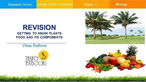 Revision Getting To Know Plants & Food and Its Components | Class 6 Crash Course | Vikas Rathore