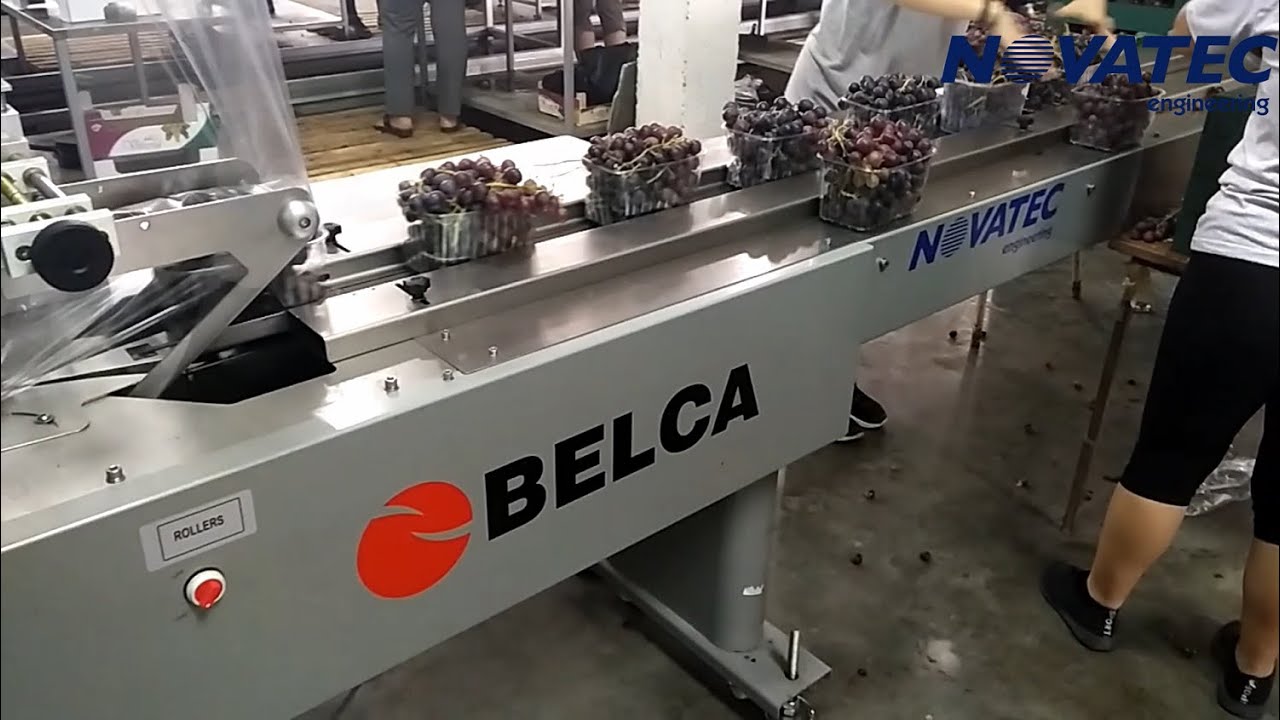 Novatec S.A. - Flow Wrapping Machine For Table Grapes (Flow Pack)