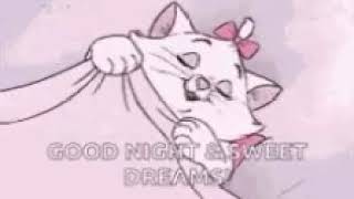 good night GIF  | cat GIF